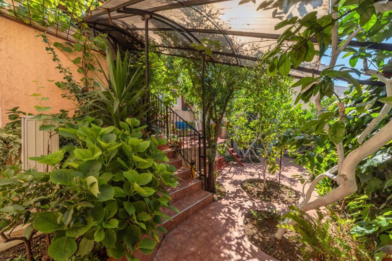 Apartments Pod Lozom With Seaview Petrovac Room photo